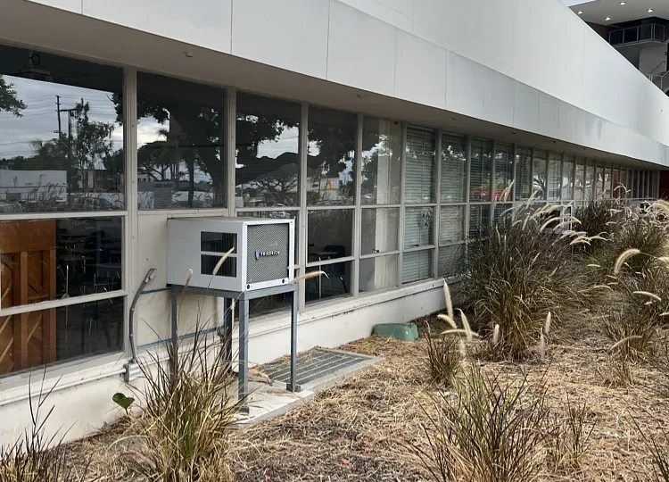 A row of exterior windows beside ornamental grasses at a college campus in Torrance.